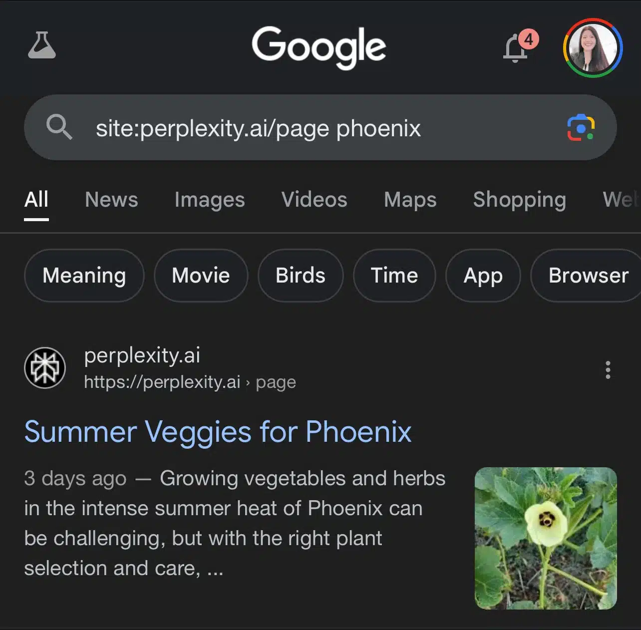 Page Perplexité indexée Google