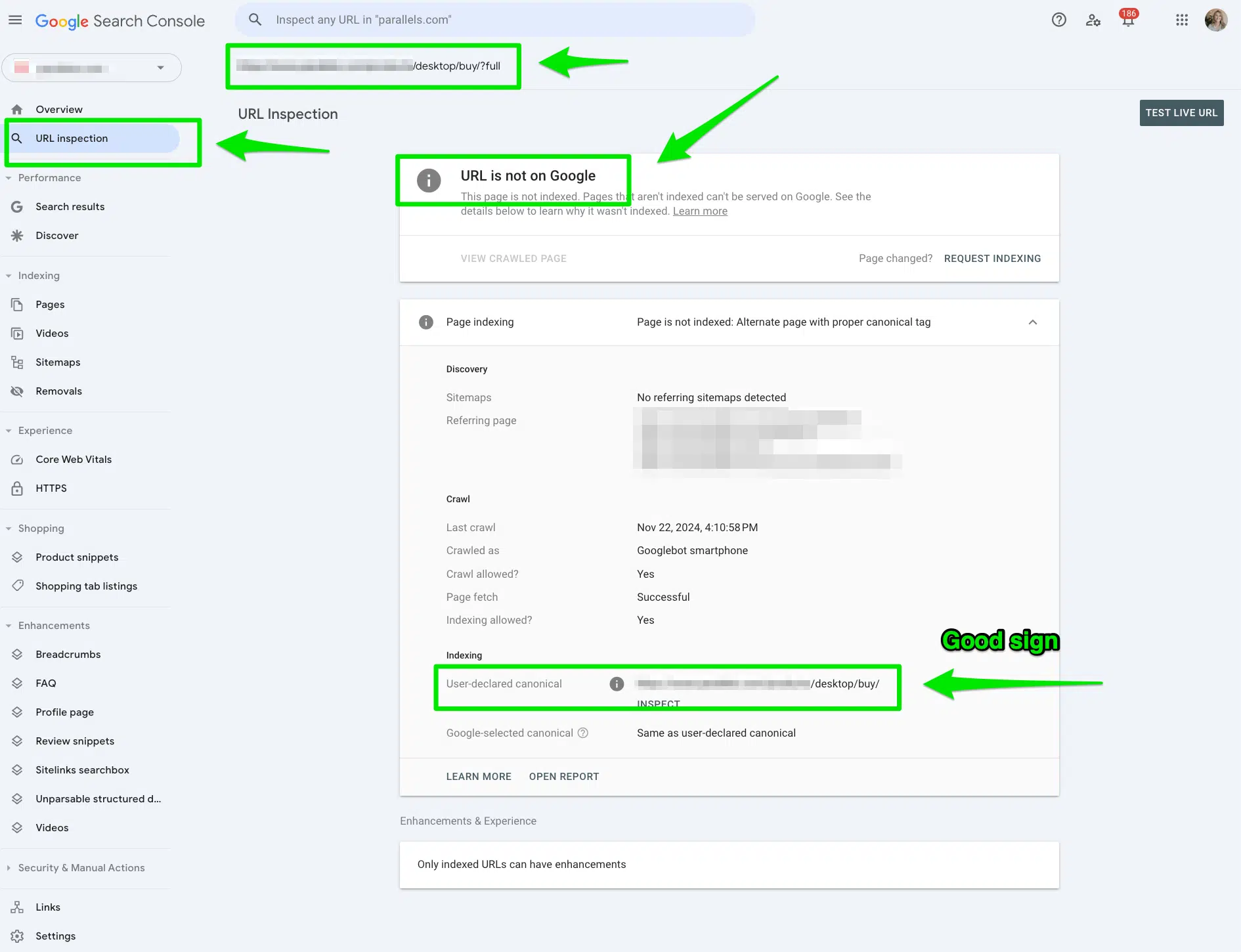 inspecter-paramètre-url-fix-alternate-page-proper-canonical-tag-google-search-console