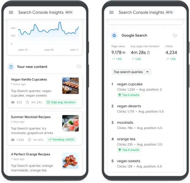 Informations sur la console de recherche 1
