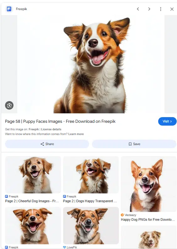 Freepik - Images de visages de chiots